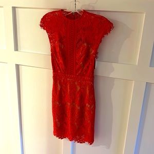 Xenia Boutique lace dress